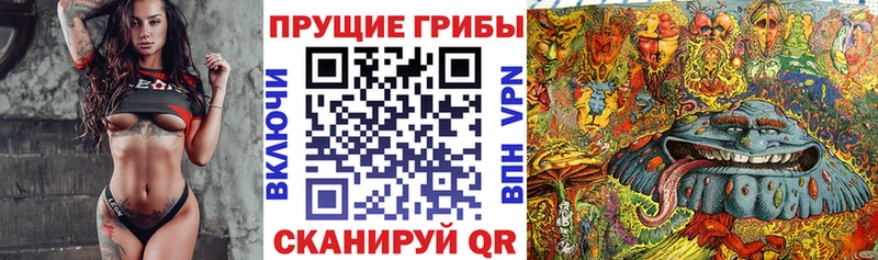 Галлюциногенные грибы MAGIC MUSHROOMS Когалым