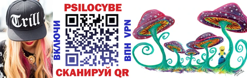 купить   Когалым  Галлюциногенные грибы Psilocybine cubensis 
